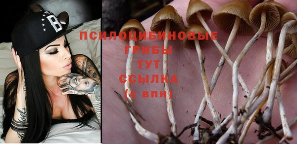 кристаллы Нефтекумск
