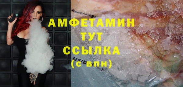 молекула духа Надым