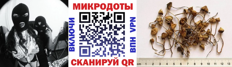 Галлюциногенные грибы Psilocybine cubensis  купить  сайты  Почеп 